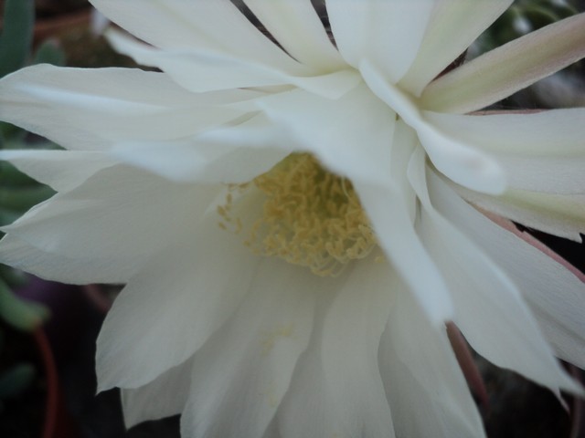 Name:  DSC03256.JPG
Views: 666
Size:  57.8 KB