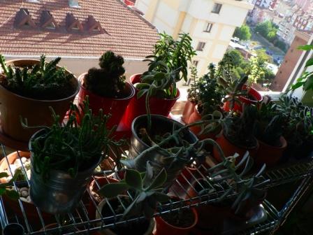 Name:  P1270086.JPG
Views: 460
Size:  40.8 KB