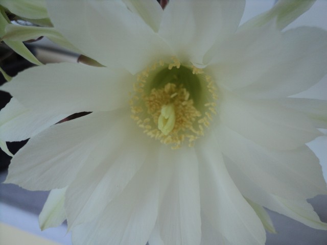 Name:  sub 2.JPG
Views: 642
Size:  52.8 KB