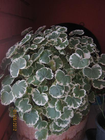 Name:  adn unuttum.JPG
Views: 1511
Size:  50.2 KB