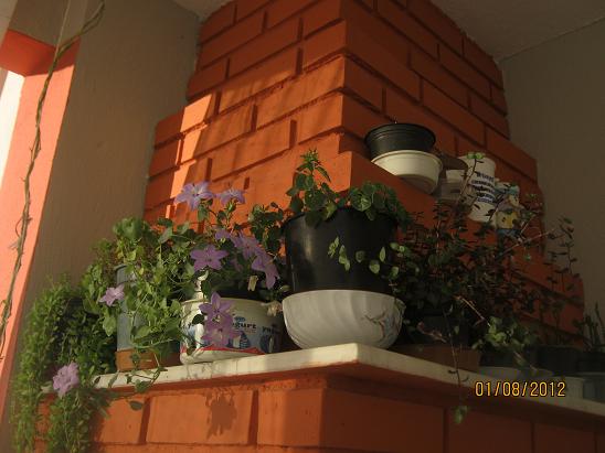 Name:  mavili.JPG
Views: 1558
Size:  47.5 KB
