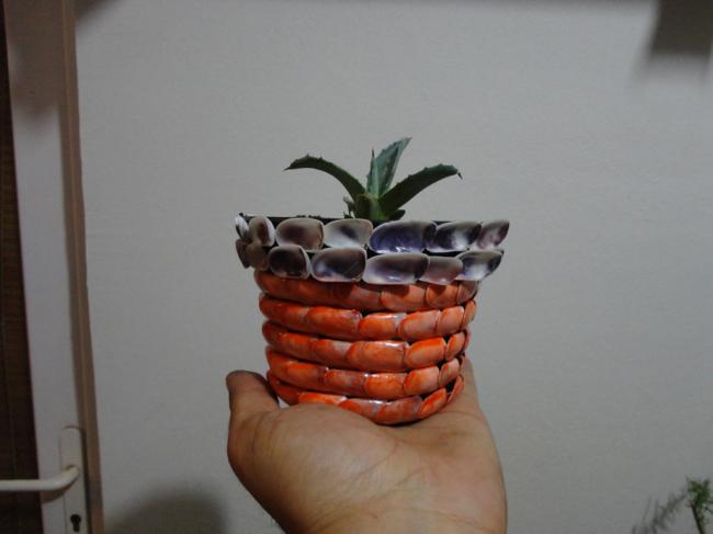 Name:  Aloe Vera-0001.jpg
Views: 974
Size:  23.7 KB