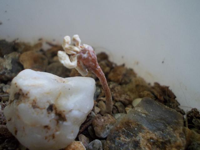 Name:  8073687979_0ce40b0c2d_z.jpg
Views: 923
Size:  28.2 KB