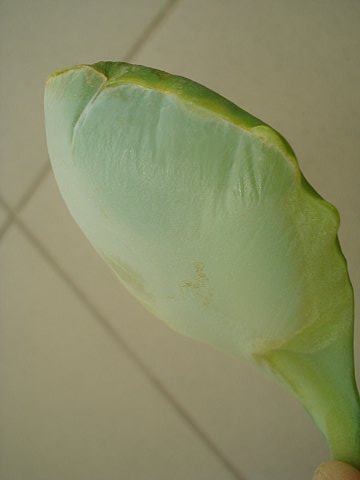 Name:  New_DSC08376.jpg
Views: 1370
Size:  31.6 KB