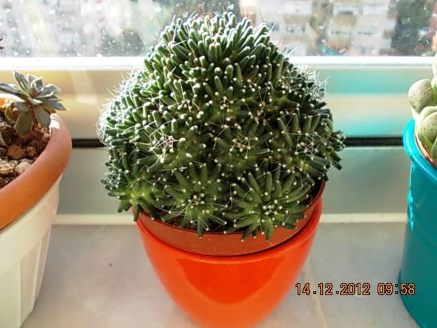 Name:  DSCN0359.jpg
Views: 632
Size:  47.6 KB