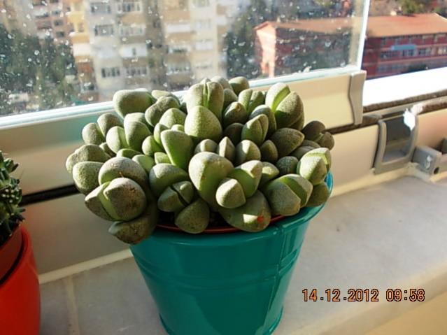 Name:  DSCN0360.jpg
Views: 595
Size:  42.1 KB