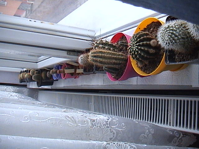 Name:  DSC00434.JPG
Views: 735
Size:  60.2 KB