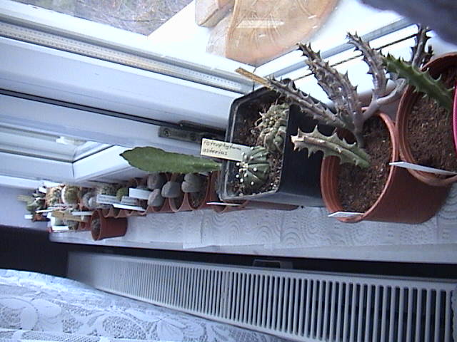 Name:  DSC00441.JPG
Views: 753
Size:  61.3 KB