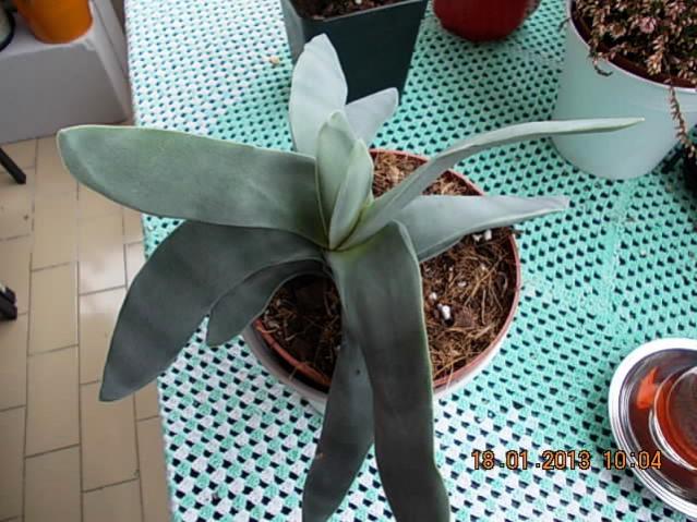 Name:  DSCN0561.jpg
Views: 1217
Size:  58.7 KB