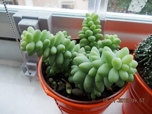 Name:  DSCN0555.jpg
Views: 1299
Size:  39.7 KB
