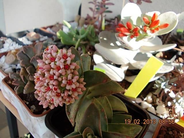 Name:  DSCN0632.jpg
Views: 1694
Size:  48.2 KB