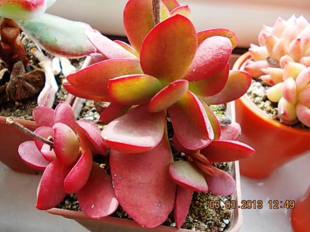 Name:  DSCN0654.jpg
Views: 1535
Size:  47.4 KB