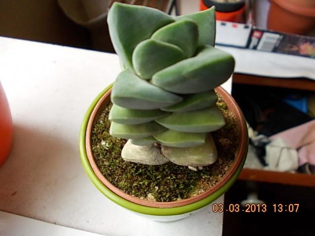 Name:  DSCN0670.jpg
Views: 1276
Size:  35.3 KB