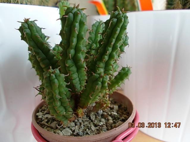Name:  DSCN0645.jpg
Views: 1200
Size:  38.0 KB