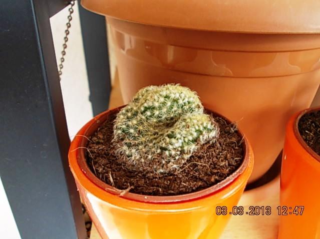 Name:  DSCN0647.jpg
Views: 1185
Size:  39.6 KB