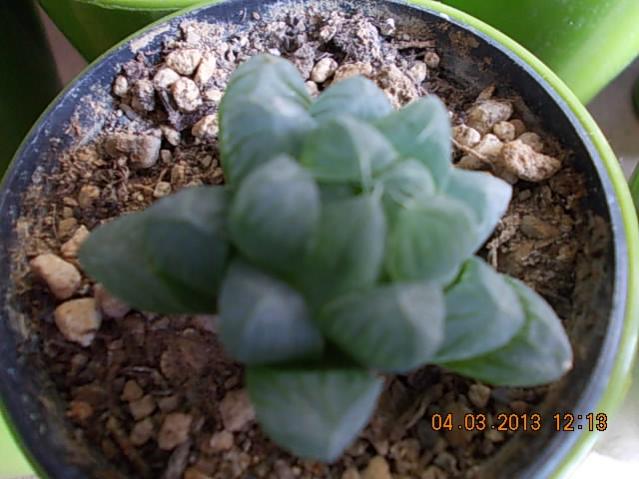 Name:  DSCN0682.jpg
Views: 1144
Size:  44.6 KB