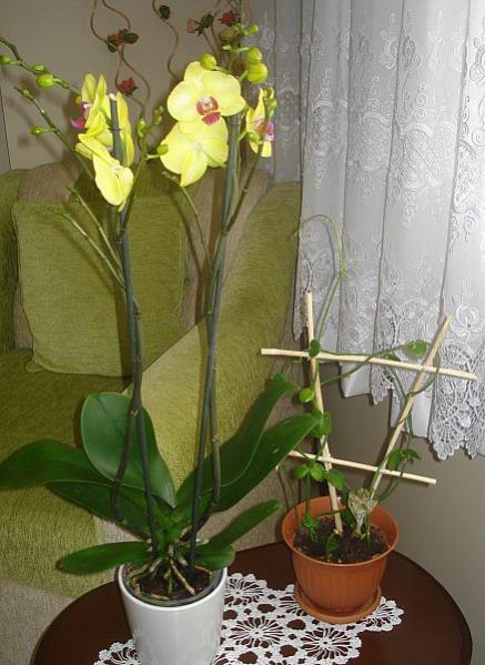 Name:  DSC00101.jpg
Views: 1479
Size:  48.2 KB