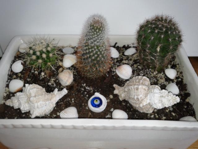 Name:  20130323_135948.jpg
Views: 1996
Size:  42.6 KB