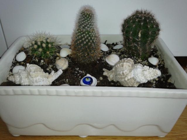 Name:  20130323_140004.jpg
Views: 2129
Size:  34.5 KB