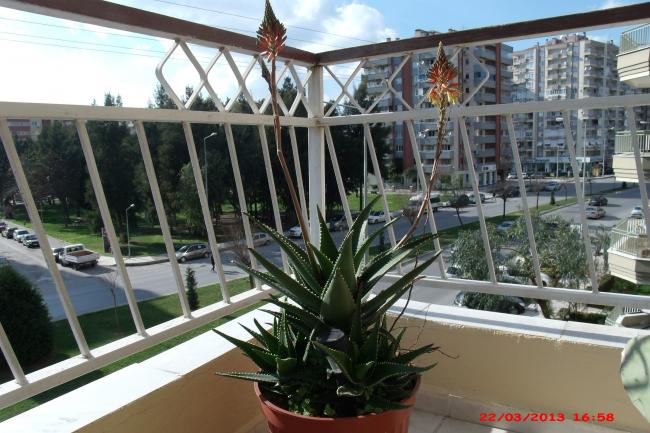 Name:  GEDC2724.jpg
Views: 1363
Size:  59.7 KB