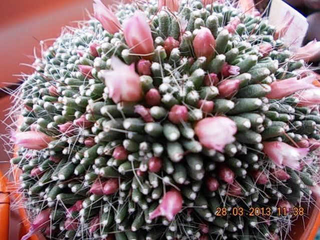 Name:  DSCN0711.jpg
Views: 1036
Size:  66.6 KB