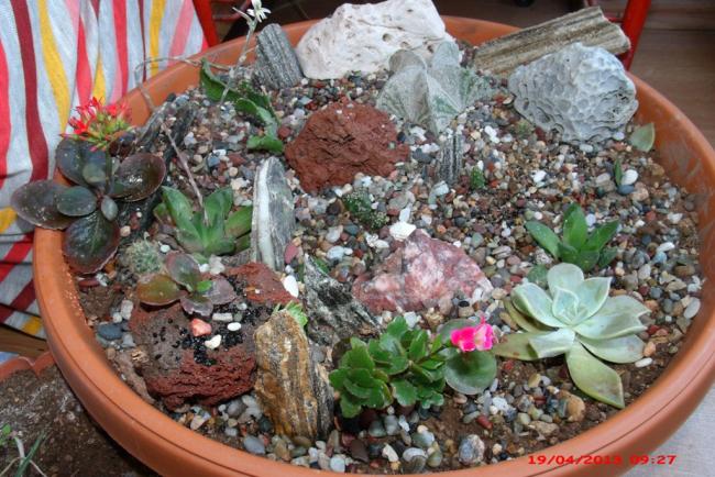 Name:  GEDC3454.jpg
Views: 1131
Size:  68.2 KB