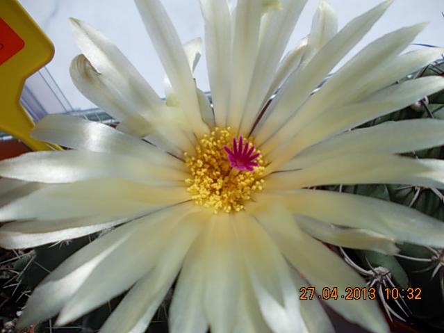 Name:  DSCN0888.jpg
Views: 1124
Size:  32.8 KB