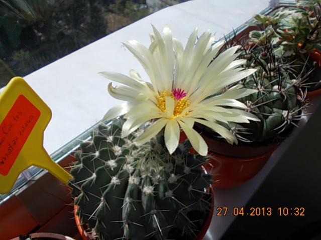 Name:  DSCN0889.jpg
Views: 1125
Size:  42.8 KB