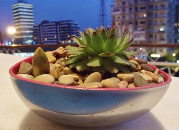 Name:  GEDC3940 (640x427).jpg
Views: 1766
Size:  32.0 KB