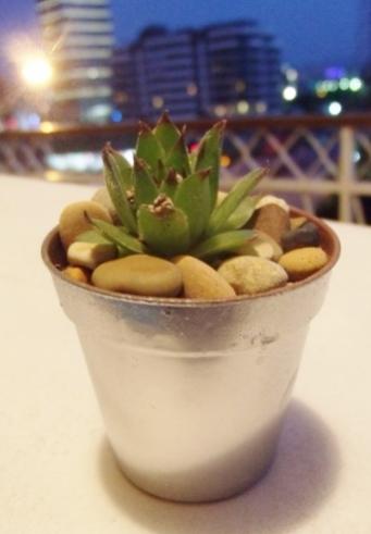 Name:  GEDC3939 (427x640).jpg
Views: 660
Size:  17.6 KB