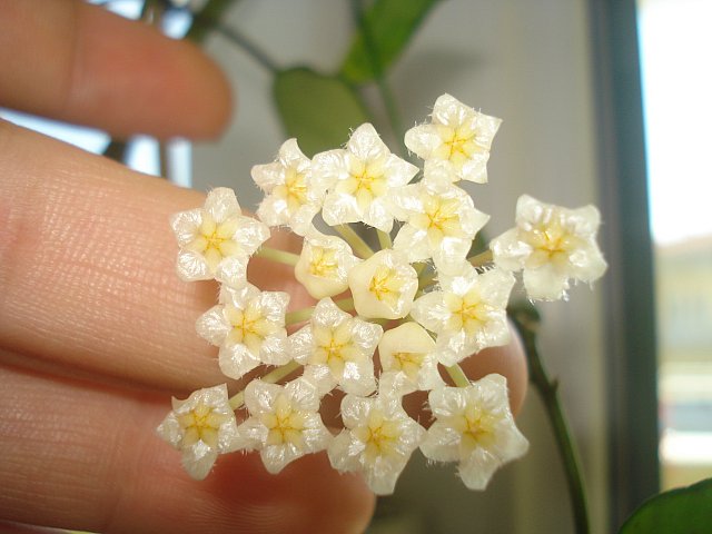 Name:  DSC01560.jpg
Views: 2025
Size:  48.1 KB