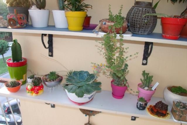 Name:  GEDC4127 (640x427).jpg
Views: 1276
Size:  38.0 KB