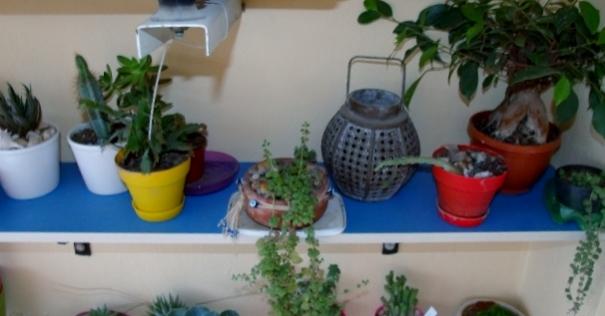 Name:  GEDC4128 (640x427).jpg
Views: 1268
Size:  25.7 KB