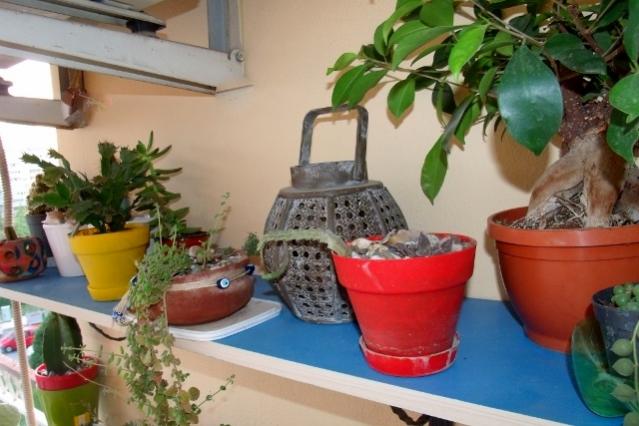Name:  GEDC4129 (640x427).jpg
Views: 1261
Size:  44.2 KB