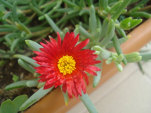 Name:  DSC02043.jpg
Views: 2739
Size:  51.6 KB