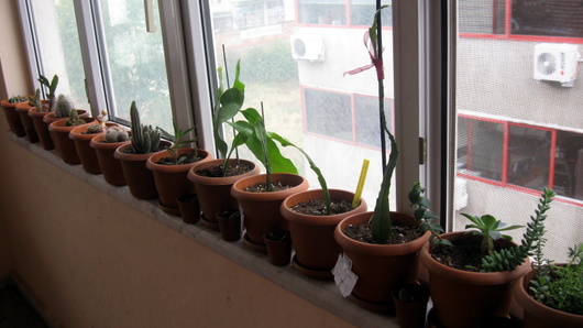 Name:  IMG_1956.JPG
Views: 1690
Size:  68.9 KB