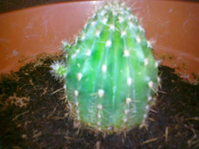 Name:  25082013786.jpg
Views: 627
Size:  35.5 KB