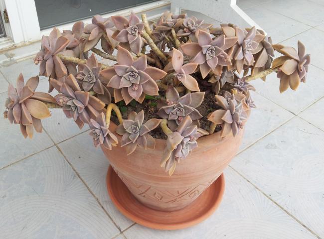 Name:  20140209_125626.jpg
Views: 1174
Size:  49.1 KB
