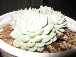Name:  002.JPG
Views: 1329
Size:  42.4 KB