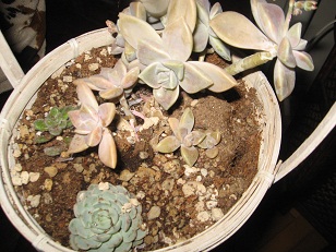 Name:  005.JPG
Views: 1265
Size:  61.7 KB