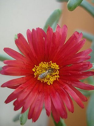 Name:  ab.jpg
Views: 1533
Size:  25.8 KB