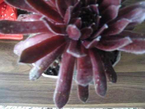 Name:  054.jpg
Views: 808
Size:  25.2 KB