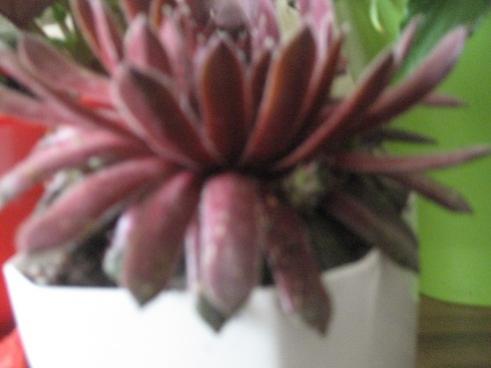 Name:  056.jpg
Views: 836
Size:  18.0 KB