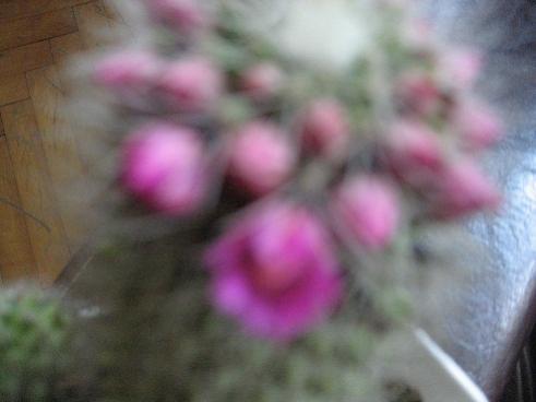 Name:  005.jpg
Views: 975
Size:  17.9 KB