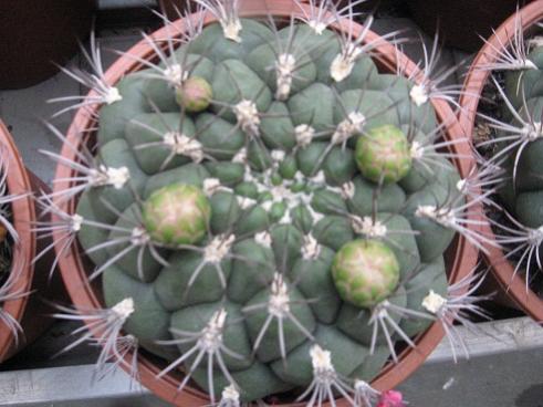 Name:  023.jpg
Views: 793
Size:  34.7 KB