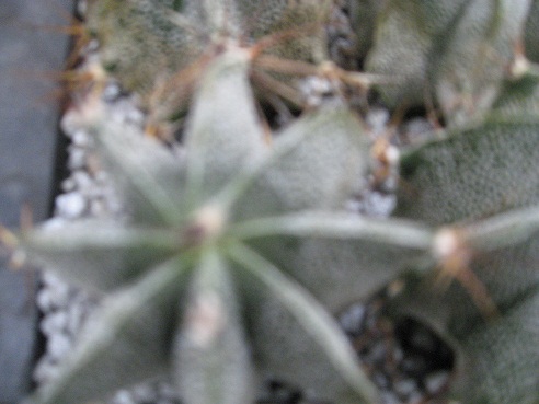 Name:  034.JPG
Views: 736
Size:  66.3 KB