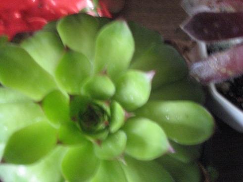 Name:  058.jpg
Views: 1147
Size:  19.0 KB