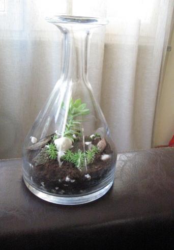 Name:  003.jpg
Views: 787
Size:  19.6 KB