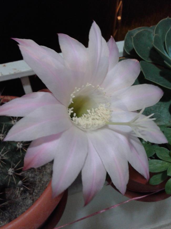 Name:  20140518_230912.jpg
Views: 470
Size:  45.7 KB