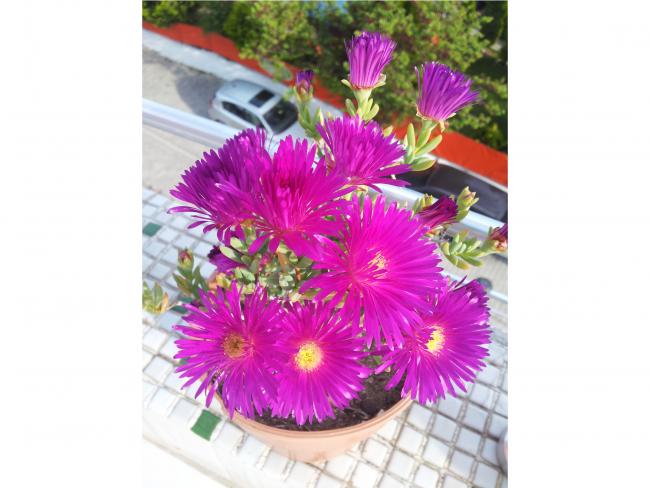 Name:  8.jpg
Views: 757
Size:  43.1 KB